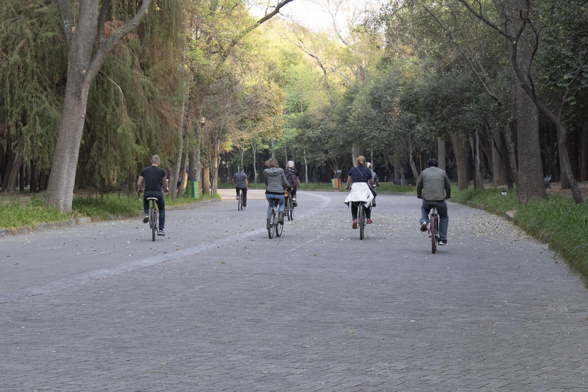 Bosque Chapultepec